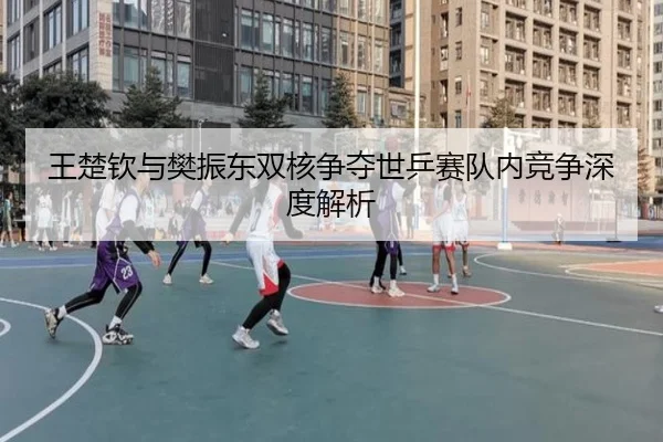王楚钦与樊振东双核争夺世乒赛队内竞争深度解析